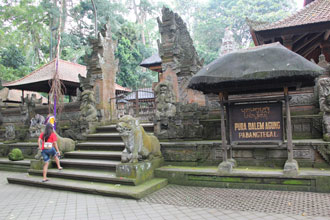 Monkey Forest Ubud Bali