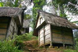 Rumah perkampungan suku baduy