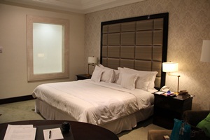 Hotel The Papandayan