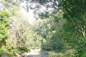 Jembatan Bambu Suku Baduy